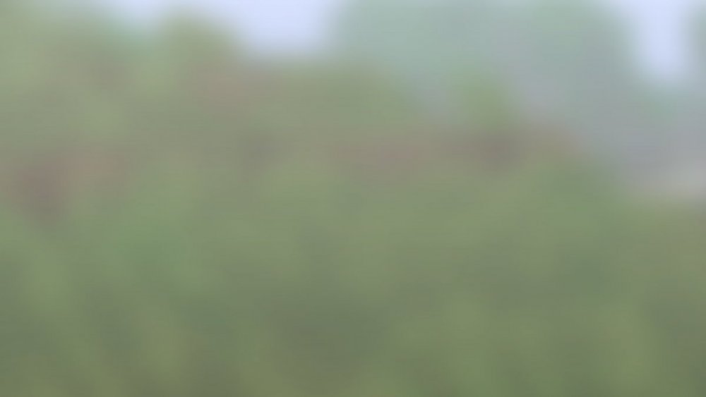 IMG20220726162712 (1).jpg